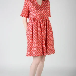 BIRDS OF NORTH AMERICA Robe Citril Finch - Red Patches