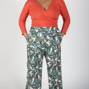 BIRDS OF NORTH AMERICA Haut Crescentchest