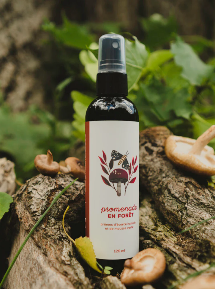 DANS LA PRAIRIE Bruine d'Ambiance – Image 2